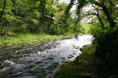 The_Lang_Stream